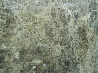 image of texture