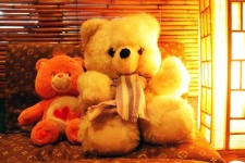 image of teddy_bear