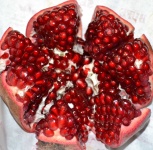 image of pomegranate #10