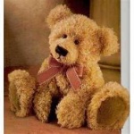 image of teddy_bear