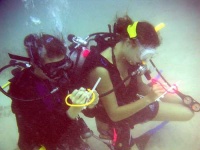 image of scuba_diver