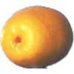 image of fruit