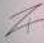 image of char