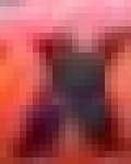 image of char