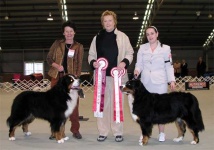 image of bernese_mountain_dog
