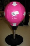 image of punching_bag