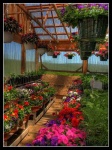 image of greenhouse