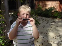image of harmonica
