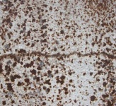 image of texture