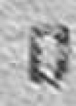 image of char