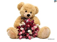 image of teddy_bear