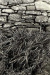 image of stone_wall