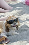 image of sunglasses