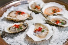 image of oyster #54