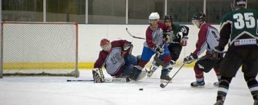 image of puck