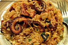image of octopus
