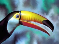 image of toucan