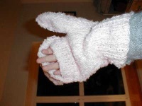 image of mitten