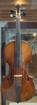 image of violin