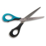image of scissors
