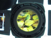 image of loupe