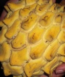 image of texture