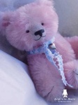image of teddy