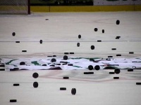 image of puck