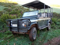 image of jeep_car
