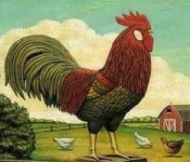 image of rooster