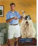 image of komondor