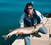 image of sturgeon