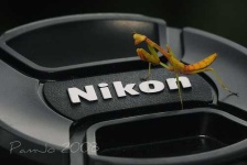 image of lens_cap