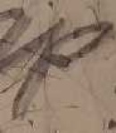 image of char