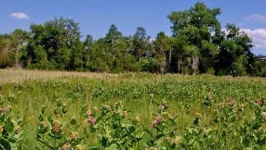 image of prairie