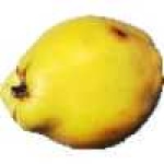 image of fruit