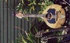 image of mandolin
