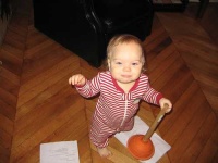 image of plunger