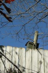 image of birdhouse