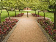 image of garden