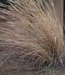 image of texture
