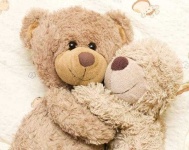 image of teddy_bear