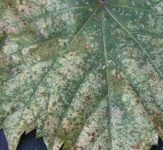 image of texture