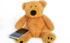 image of teddy_bear