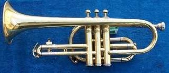 image of cornet