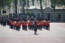 image of bearskin