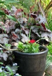 image of pot