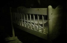 image of cradle