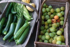 image of zucchini