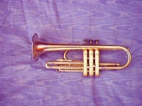 image of cornet